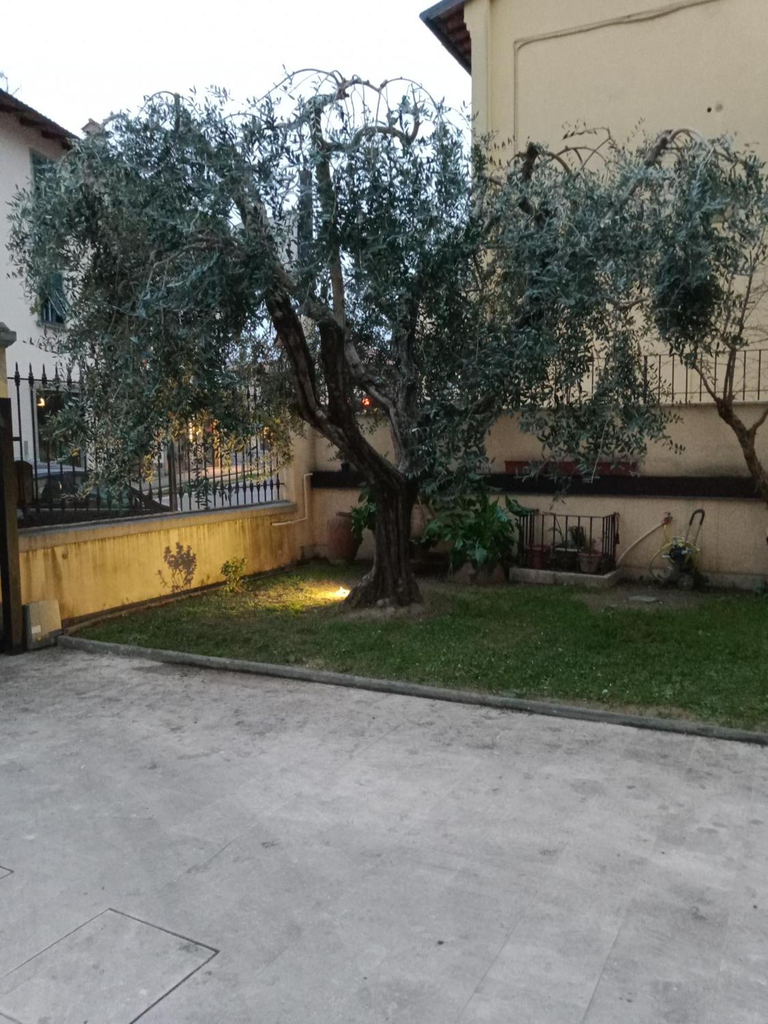 Bercos Deluxe Appartement Prato  Buitenkant foto